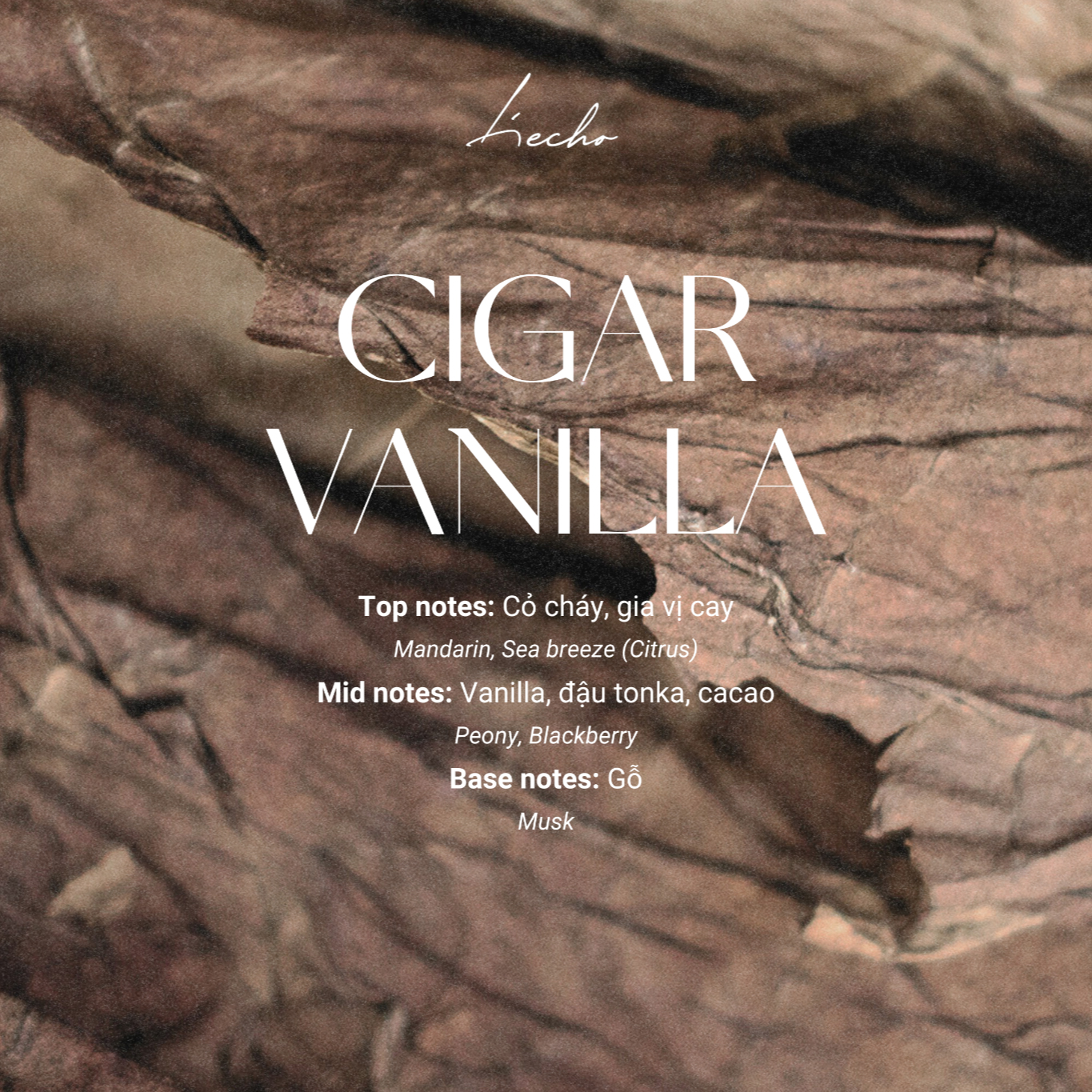 nuoc-hoa-cigar-vanilla-50ml Nước hoa Cigar Vanilla L'Echo 50ml với hương cỏ cháy, gia vị cay, vanilla, đậu tonka, cacao và gỗ, mang phong vị ấm áp đầy lôi cuốn