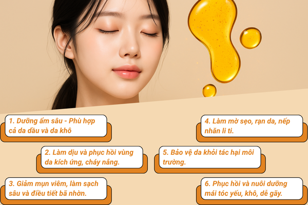 Lợi ích toàn diện của dầu Jojoba