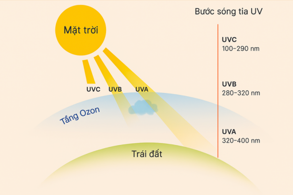UVA và UVB ảnh hưởng như thế nào đến làn da con người?