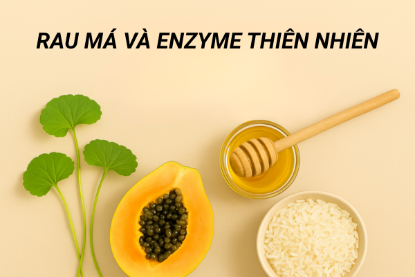 Rau má và Enzyme thiên nhiên