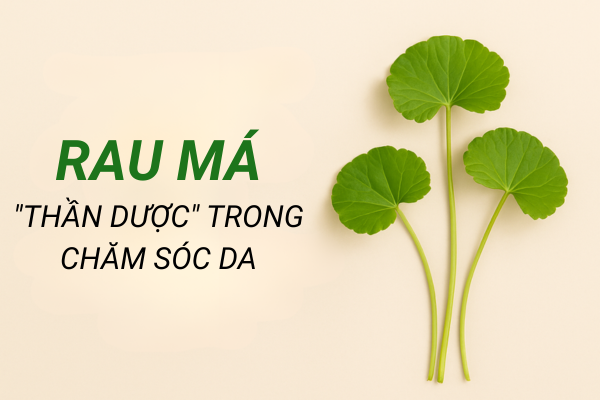 Rau má