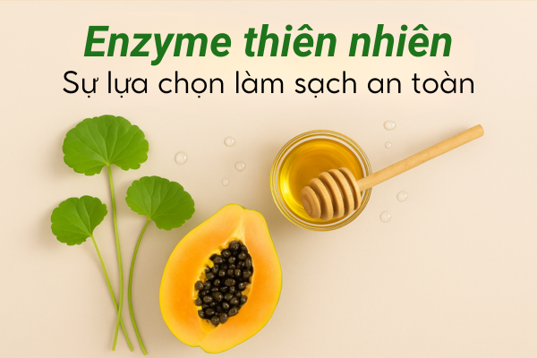 Enzyme sự lựa chọn làm sạch an toàn