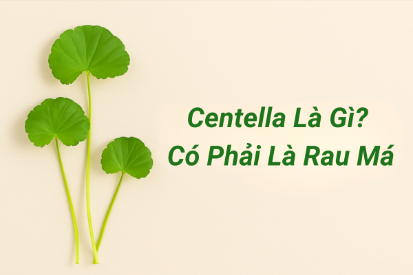 Centella là gì