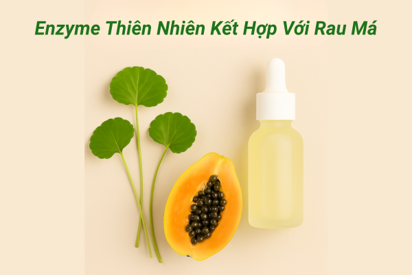 Enzyme thiên nhiên kết hợp với rau má